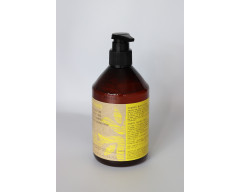 Botanica Dry Hair Nutritive champú nutritivo 500ml