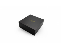 Secador Corioliss Flow Black Gold Leopard