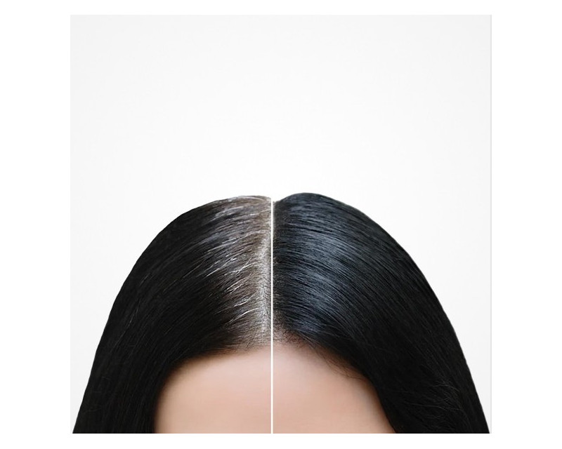 Bifull Cover Fibers corrector capilar en polvo de raices para canas negro 12g
