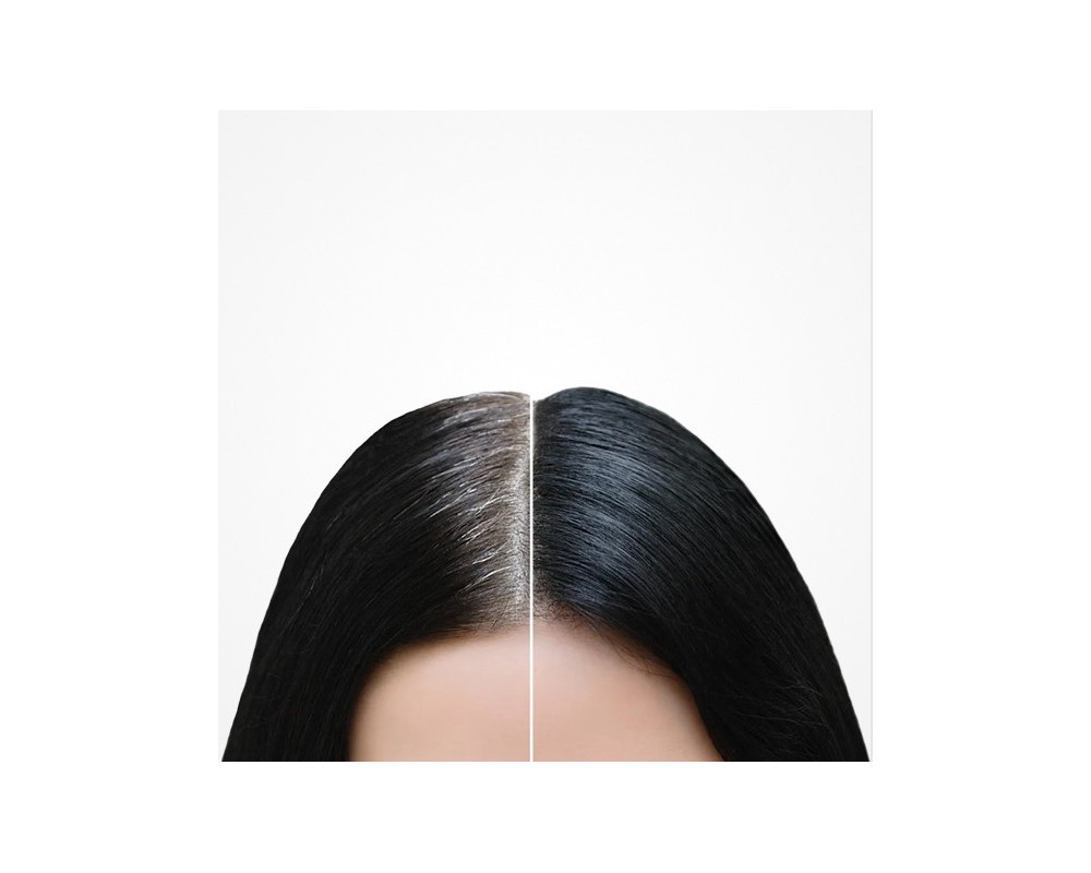 Bifull Cover Fibers corrector capilar en polvo de raices para canas negro 12g