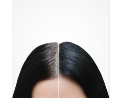 Bifull Cover Fibers corrector capilar en polvo de raices para canas negro 12g