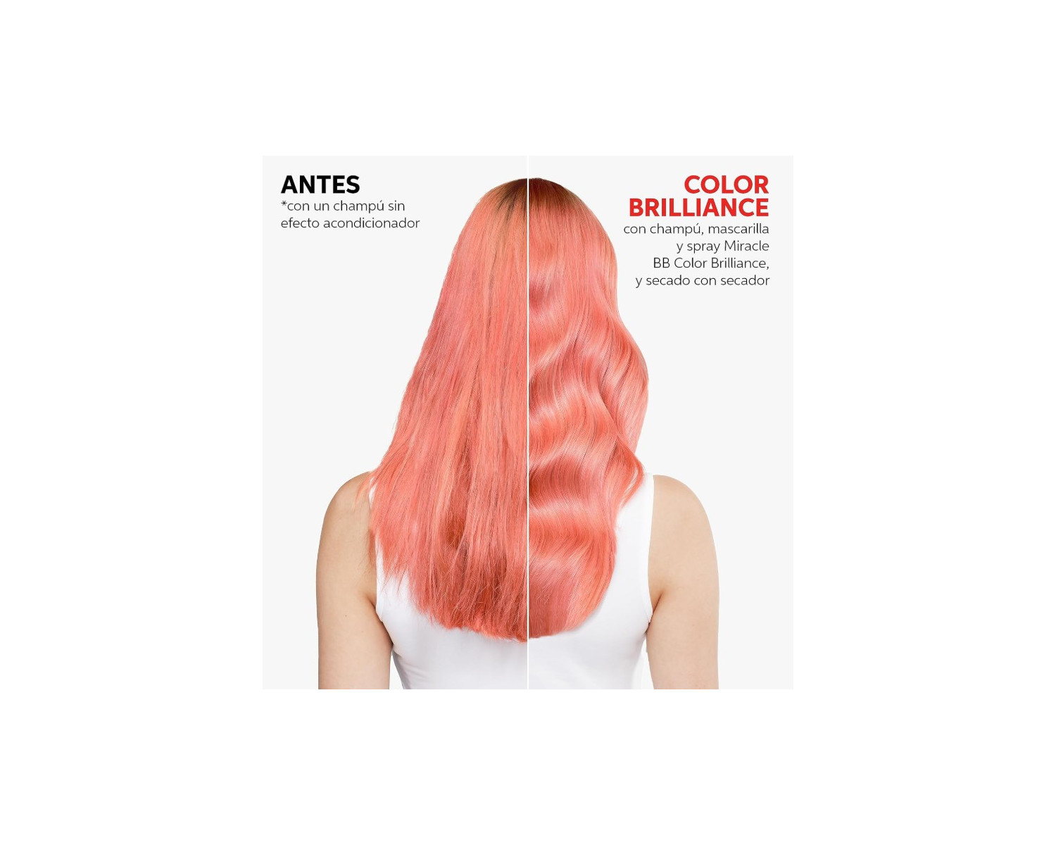 Wella Invigo Color Brilliance Shampoo champú protector de color 1000ml