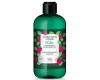 Eugene Perma Collections Nature Kids champú desenredante para niños 300ml