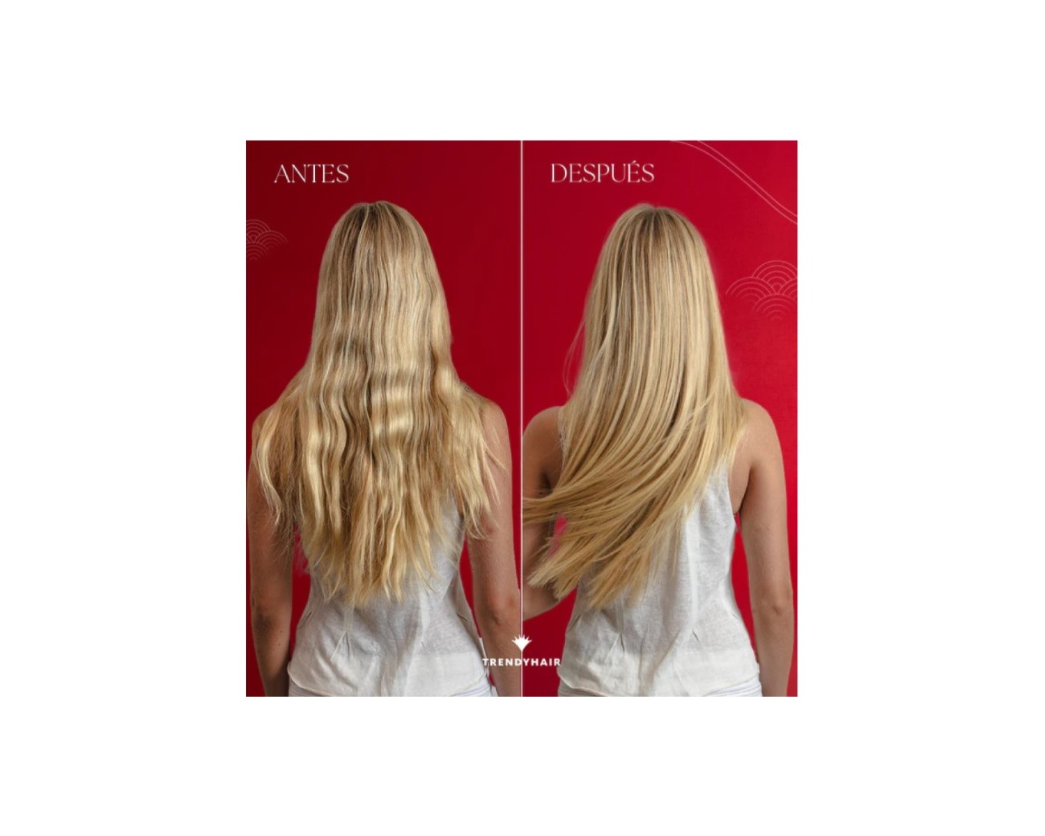 Trendy Hair bain Color Shikiso Keratin With Ginseng champú de color 300 ml