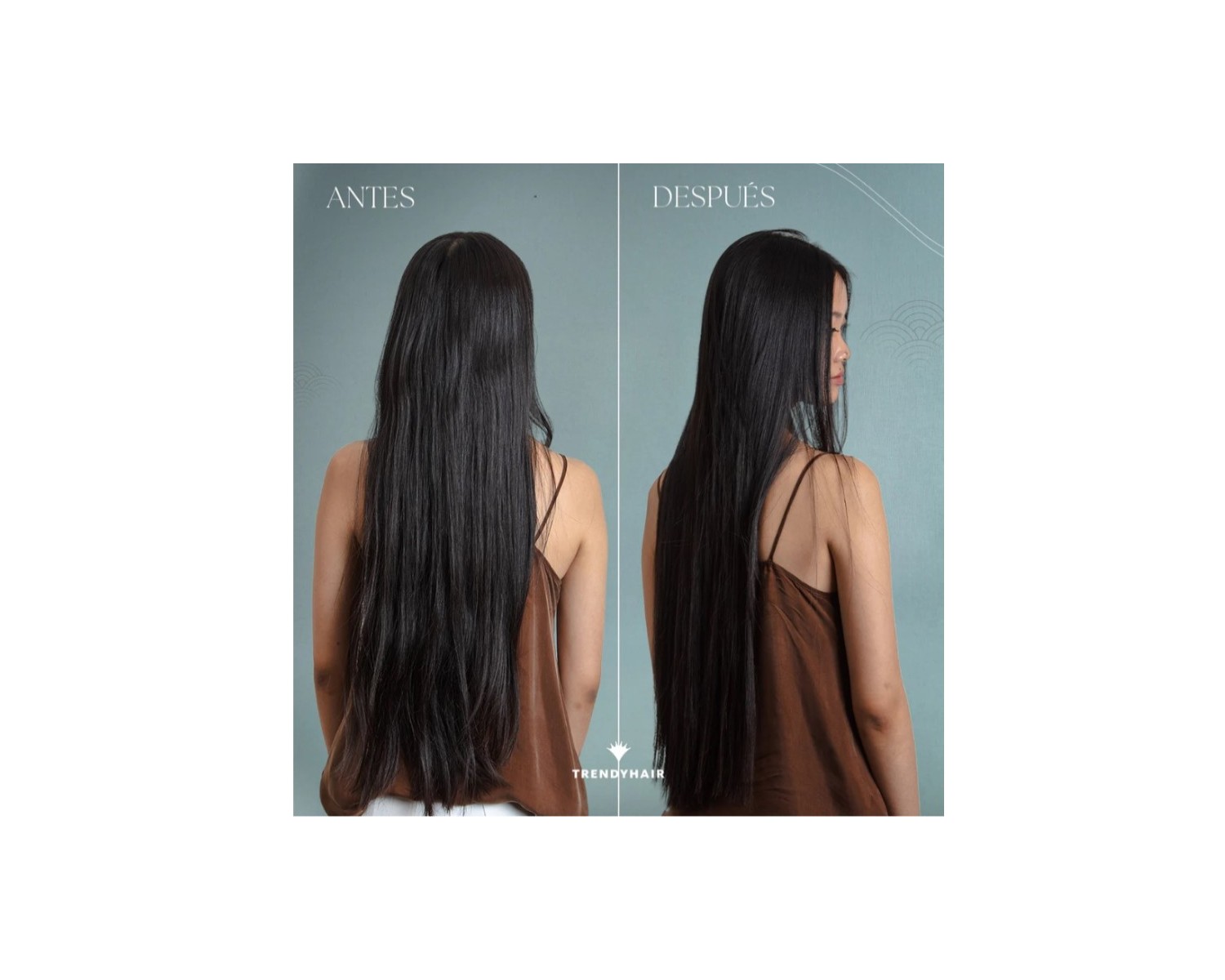 Trendy Hair Bain Filler 3D Volume Champú Volumen y Densidad 300 ml