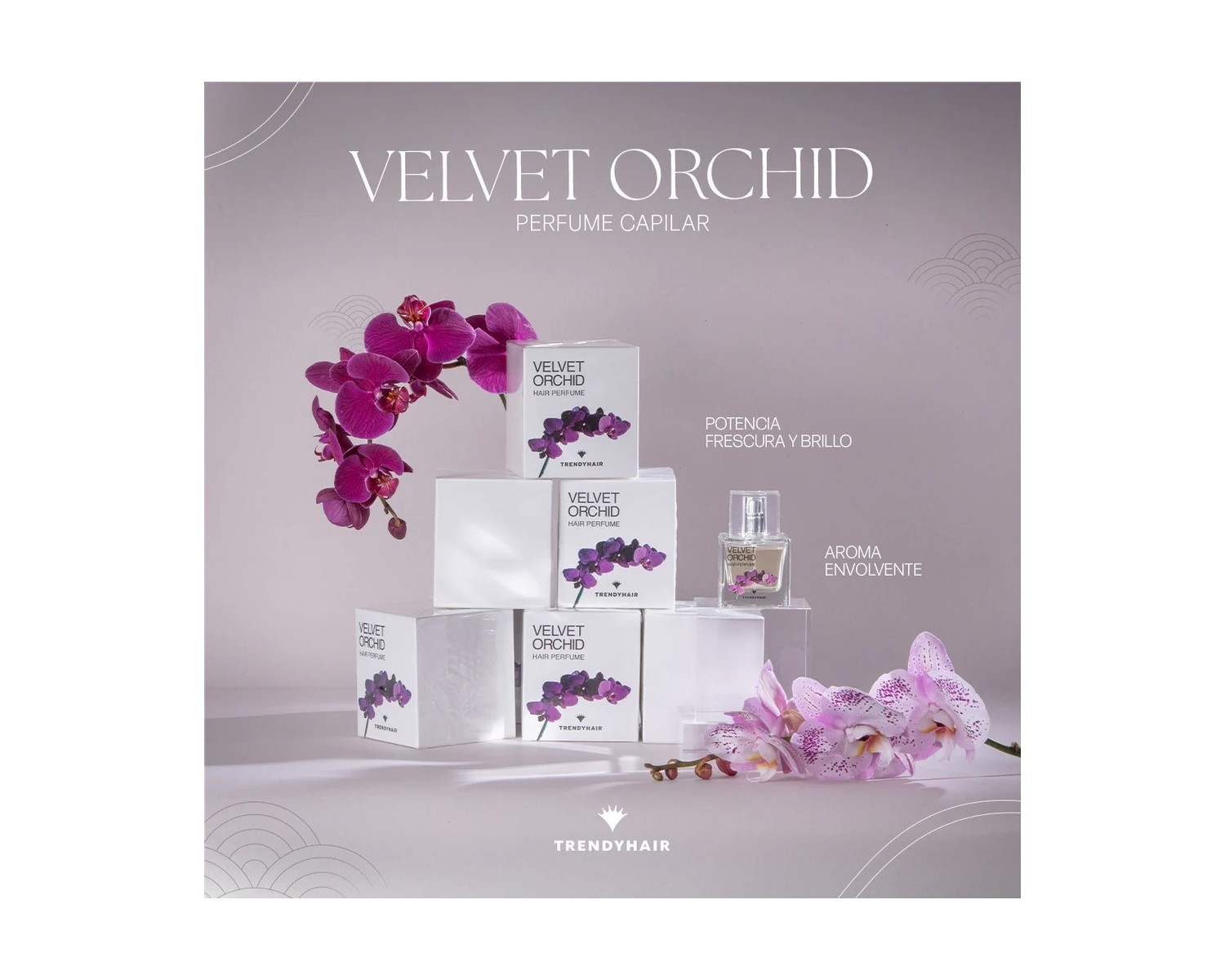 Trendy hair Perfume Velvet Orchid 50 ml