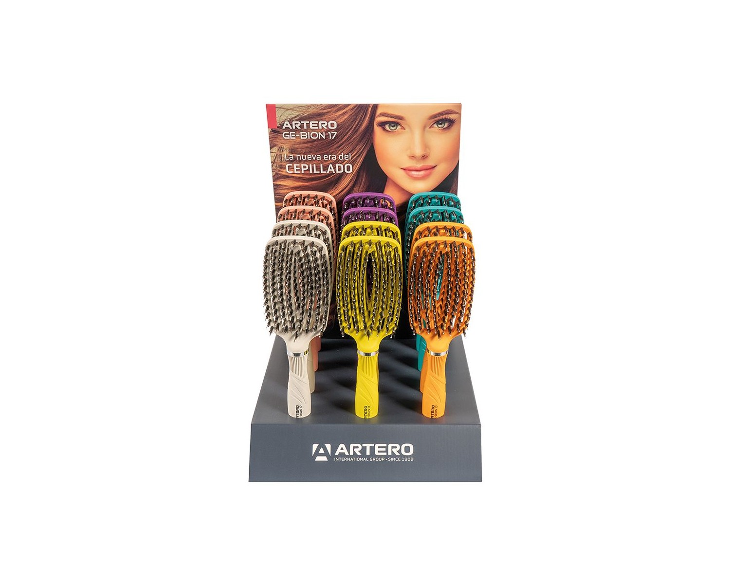Artero Expositor Ge-Bion 6 Colores (12 unidades)