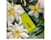 Saphir Tropic Gold Hair & Body Mist Paradise 100 ml