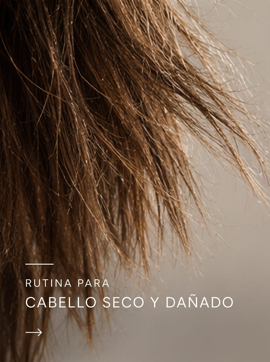 Rutina para cabello seco y dañado